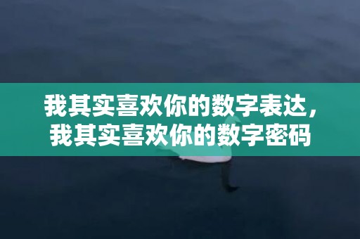 我其实喜欢你的数字表达，我其实喜欢你的数字密码