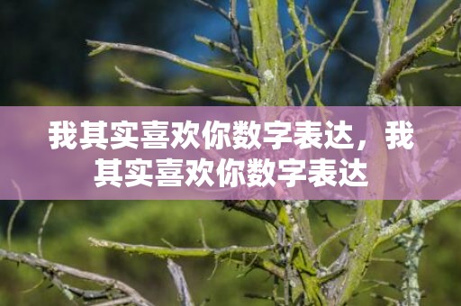 我其实喜欢你数字表达，我其实喜欢你数字表达