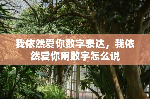 我依然爱你数字表达，我依然爱你用数字怎么说
