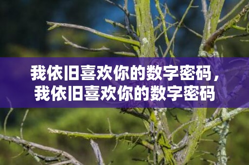 我依旧喜欢你的数字密码，我依旧喜欢你的数字密码