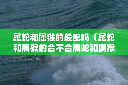 属蛇和属猴的般配吗（属蛇和属猴的合不合属蛇和属猴的合不合适）