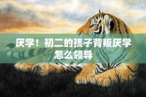 厌学！初二的孩子背叛厌学怎么领导