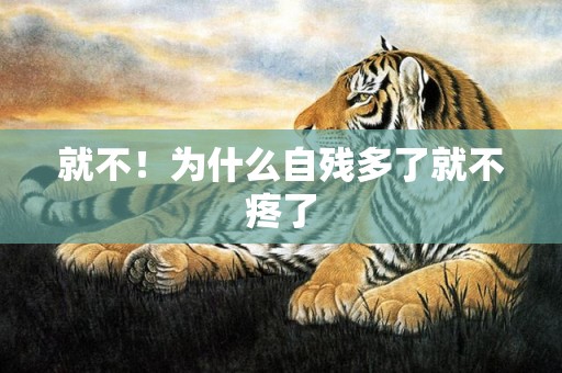 就不！为什么自残多了就不疼了