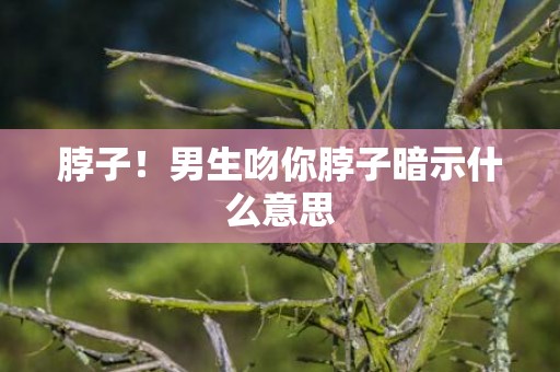 脖子！男生吻你脖子暗示什么意思