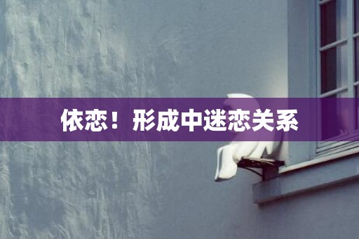 依恋！形成中迷恋关系