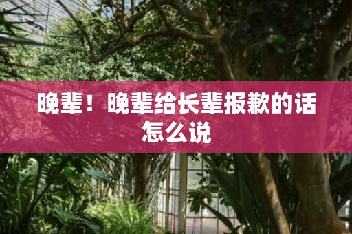 晚辈！晚辈给长辈报歉的话怎么说