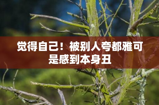 觉得自己！被别人夸都雅可是感到本身丑