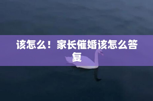 该怎么！家长催婚该怎么答复