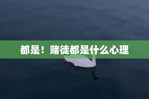 都是！赌徒都是什么心理