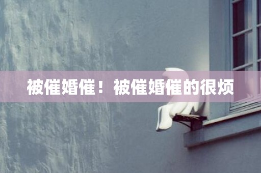 被催婚催！被催婚催的很烦