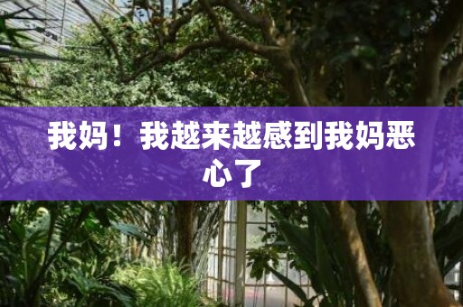 我妈！我越来越感到我妈恶心了