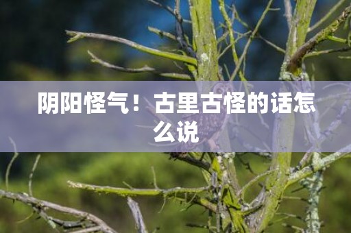 阴阳怪气！古里古怪的话怎么说