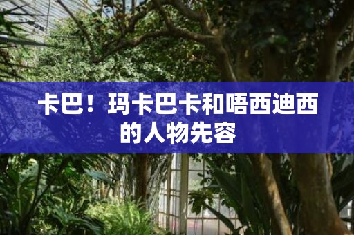 卡巴！玛卡巴卡和唔西迪西的人物先容