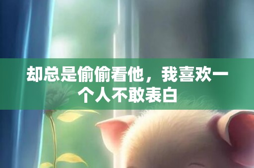 却总是偷偷看他，我喜欢一个人不敢表白