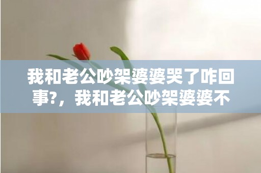 我和老公吵架婆婆哭了咋回事?，我和老公吵架婆婆不吭声了
