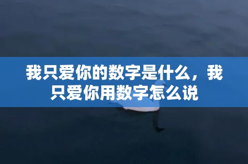 我只爱你的数字是什么，我只爱你用数字怎么说