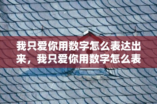 我只爱你用数字怎么表达出来，我只爱你用数字怎么表达