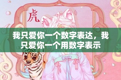 我只爱你一个数字表达，我只爱你一个用数字表示