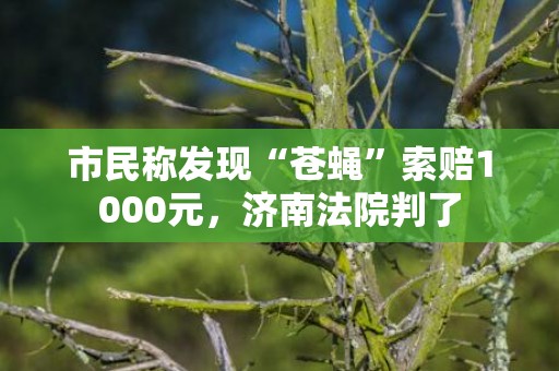 市民称发现“苍蝇”索赔1000元，济南法院判了