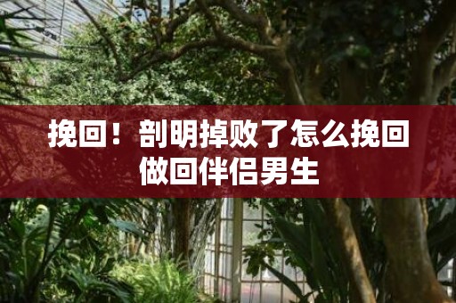 挽回！剖明掉败了怎么挽回做回伴侣男生
