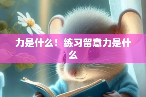 力是什么！练习留意力是什么