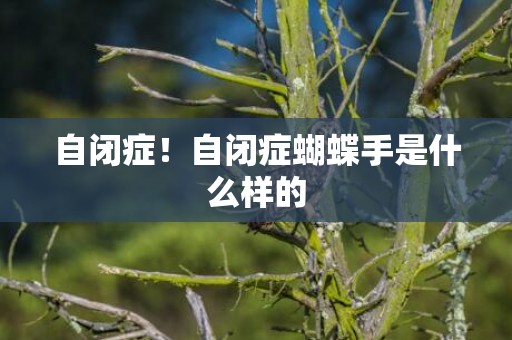 自闭症！自闭症蝴蝶手是什么样的