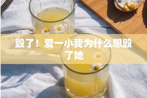 毁了！爱一小我为什么想毁了她