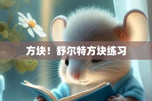方块！舒尔特方块练习