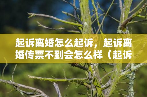 起诉离婚怎么起诉，起诉离婚传票不到会怎么样（起诉离婚传票是如何送达）