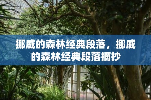 挪威的森林经典段落，挪威的森林经典段落摘抄