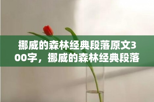 挪威的森林经典段落原文300字，挪威的森林经典段落哔哩