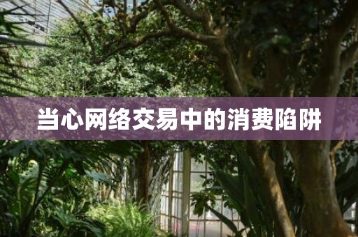 当心网络交易中的消费陷阱