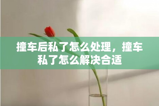 撞车后私了怎么处理，撞车私了怎么解决合适