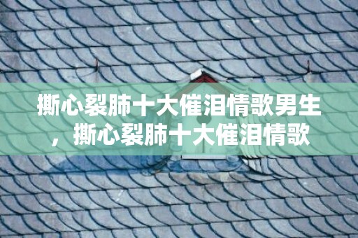 撕心裂肺十大催泪情歌男生，撕心裂肺十大催泪情歌