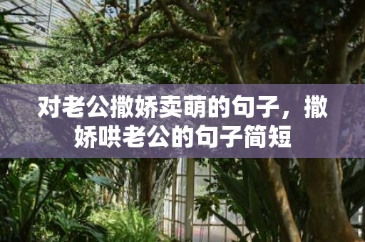 对老公撒娇卖萌的句子，撒娇哄老公的句子简短