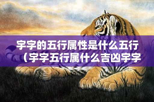 宇字的五行属性是什么五行（宇字五行属什么吉凶宇字五行属什么吉凶属性）