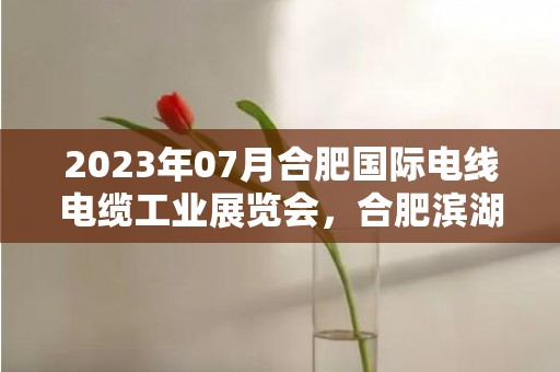 2023年07月合肥国际电线电缆工业展览会，合肥滨湖国际会展中心