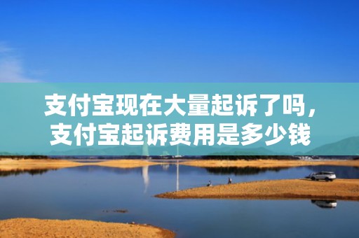 支付宝现在大量起诉了吗，支付宝起诉费用是多少钱