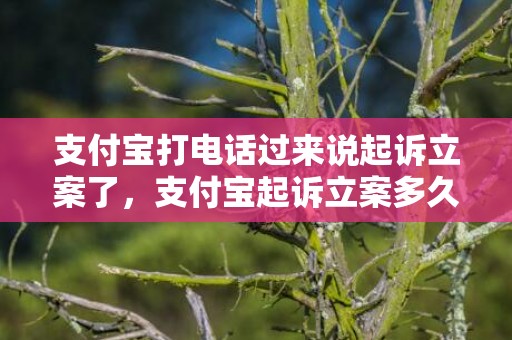 支付宝打电话过来说起诉立案了，支付宝起诉立案多久开庭