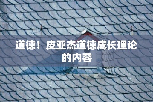 道德！皮亚杰道德成长理论的内容