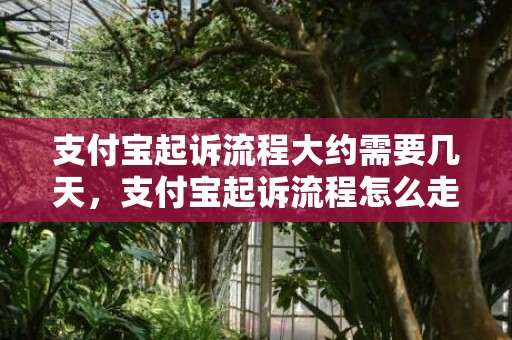 支付宝起诉流程大约需要几天，支付宝起诉流程怎么走的