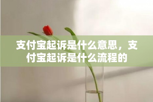支付宝起诉是什么意思，支付宝起诉是什么流程的