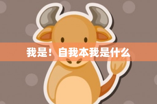 我是！自我本我是什么