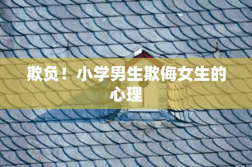 欺负！小学男生欺侮女生的心理
