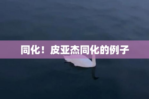 同化！皮亚杰同化的例子