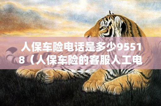 人保车险电话是多少95518（人保车险的客服人工电话是多少）