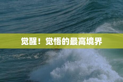 觉醒！觉悟的最高境界
