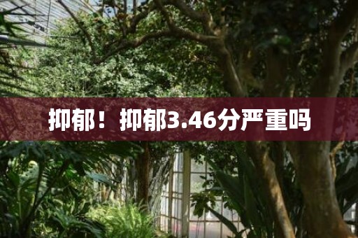 抑郁！抑郁3.46分严重吗
