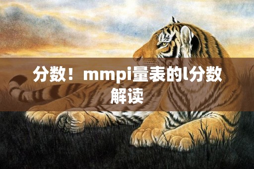 分数！mmpi量表的l分数解读