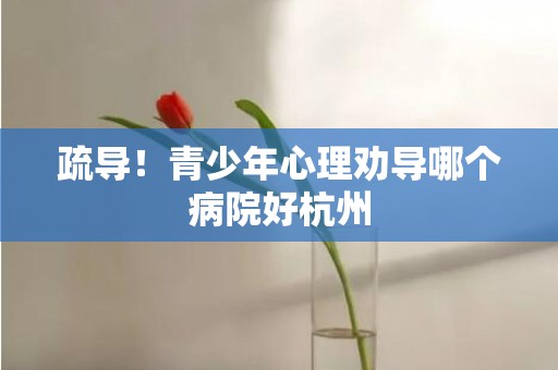 疏导！青少年心理劝导哪个病院好杭州